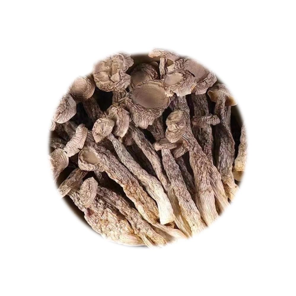 Dried Food Refill Pack - Deer Antler Mushroom 50g