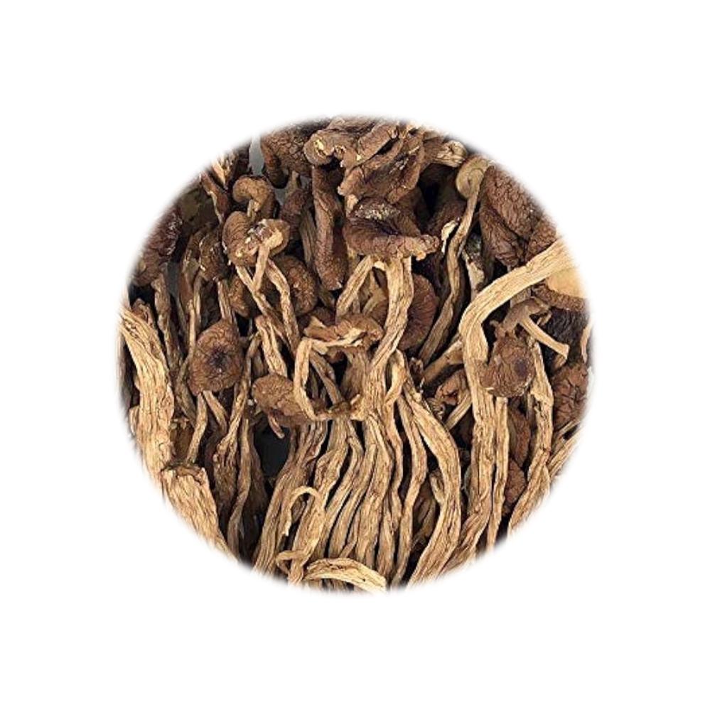 Dried Food Refill Pack - Poplar Mushroom 150g