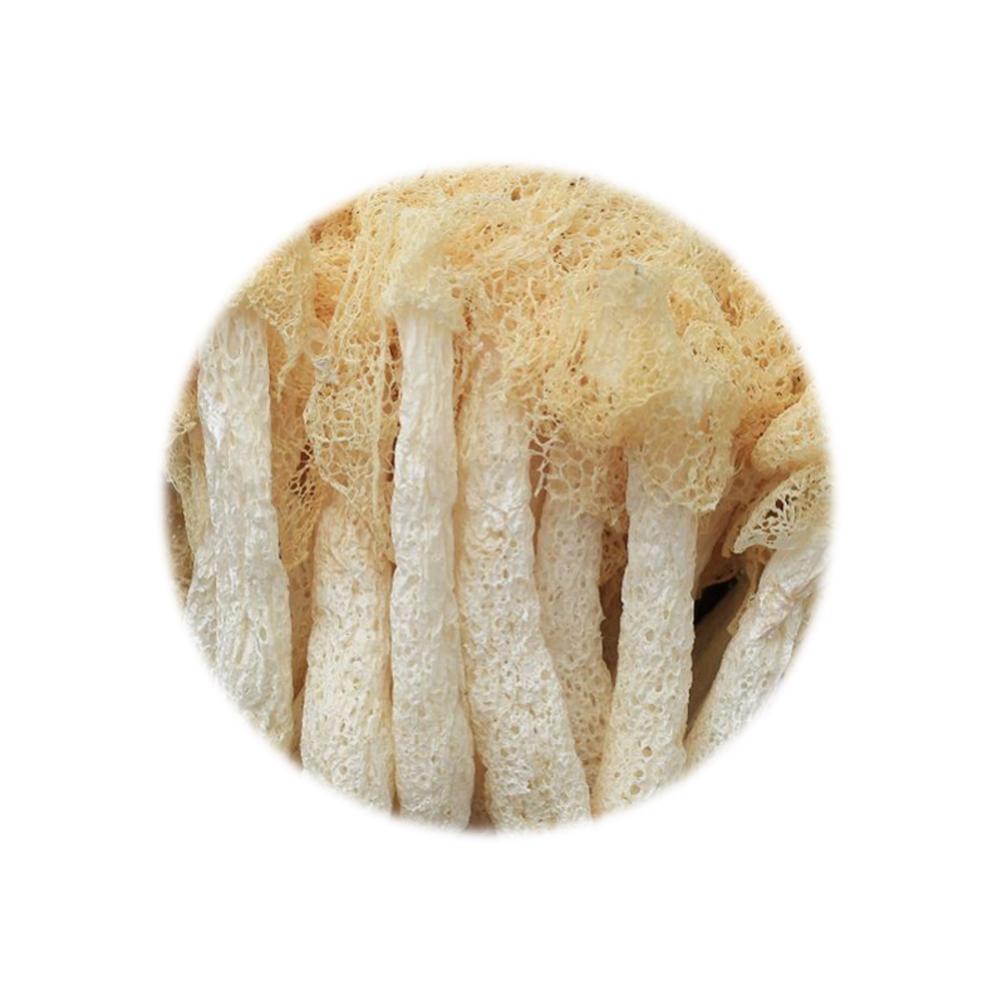 Dried Food Refill Pack - Bamboo Fungus 50g