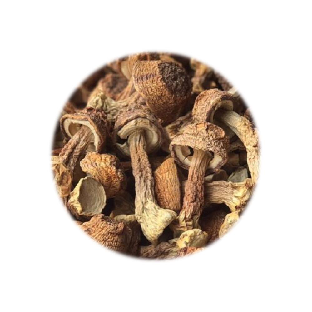 Dried Food Refill Pack - Almond Mushroom 250g