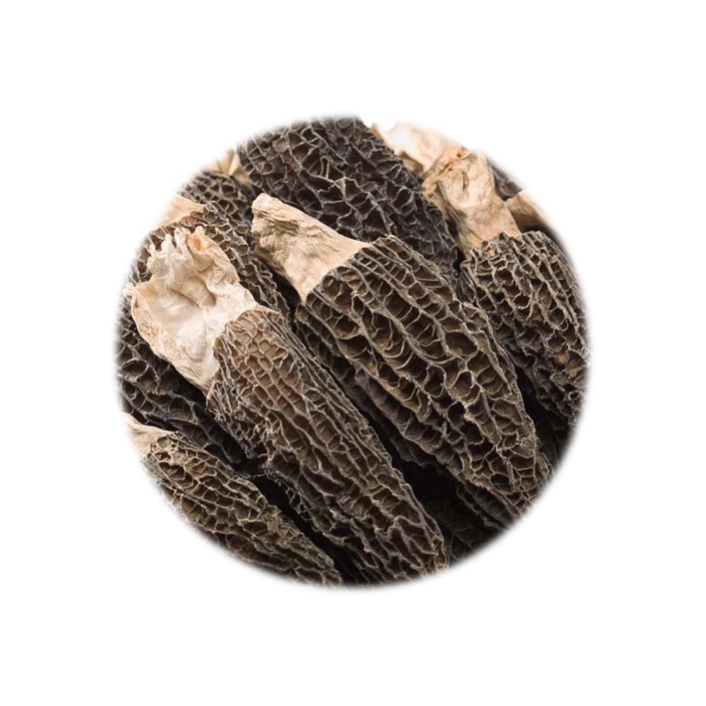 Dried Food Refill Pack - Morel Mushroom 150g