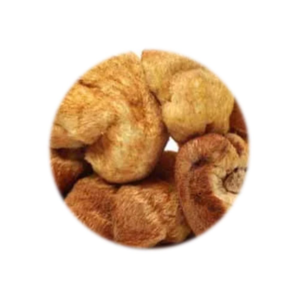 Dried Food Refill Pack - Lion's Mane Mushroom 250g