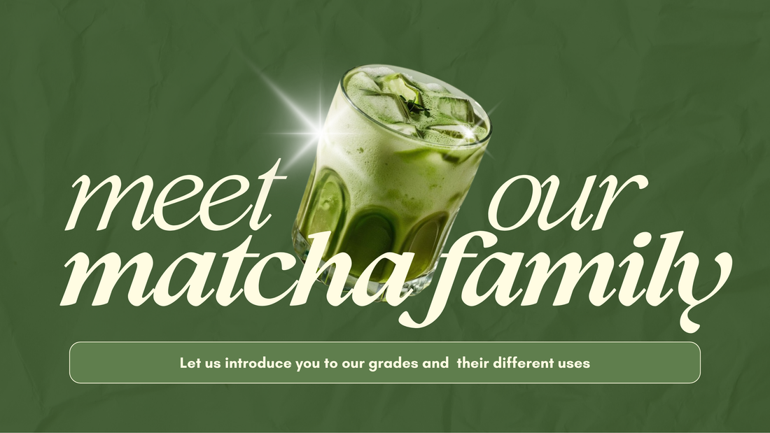 Meet Our Matcha Family 🍵💚