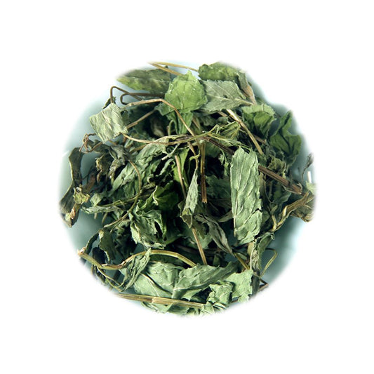 Tea Refill Pack - Mint 10g